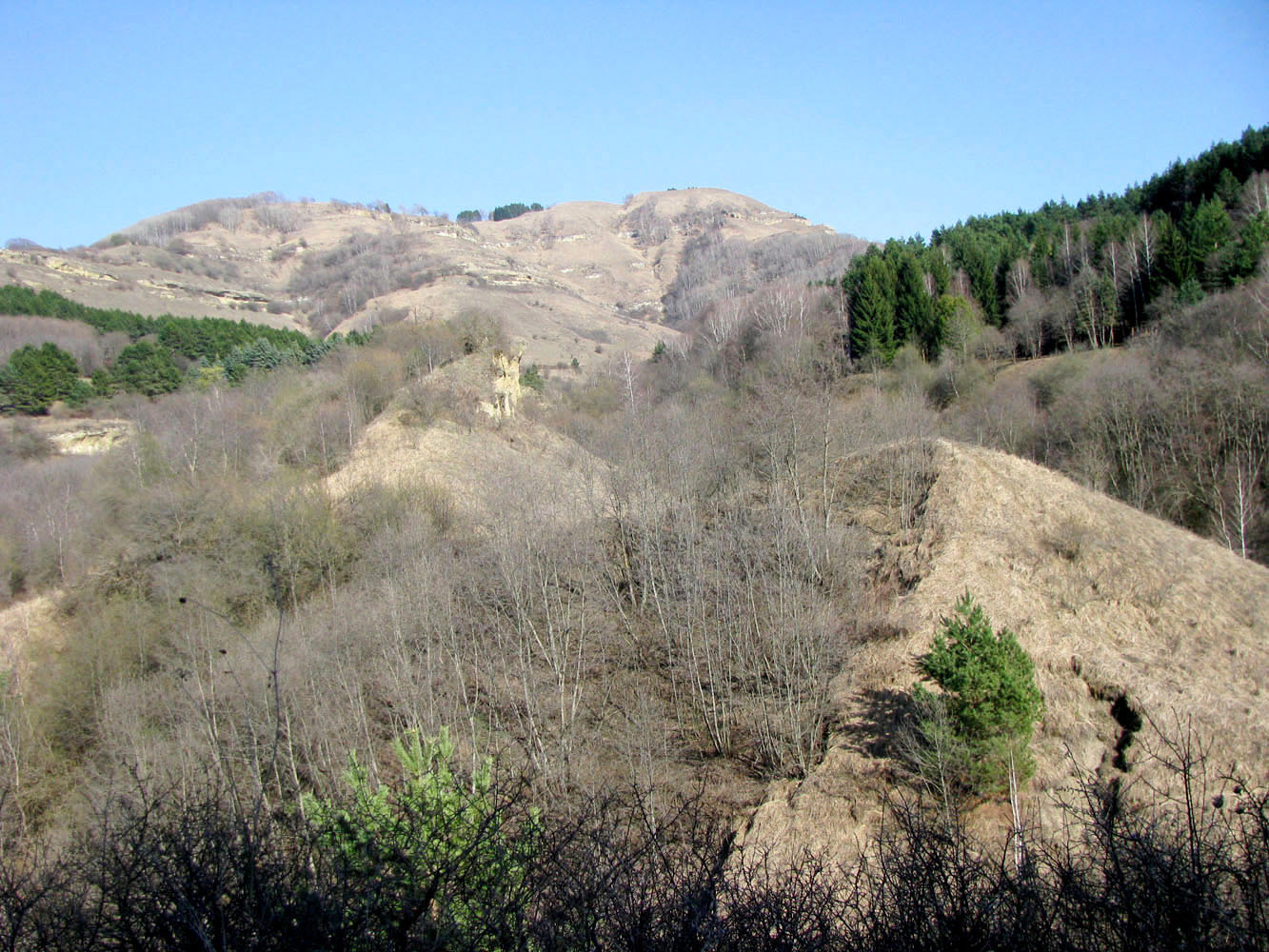 Курортный парк, image of landscape/habitat.