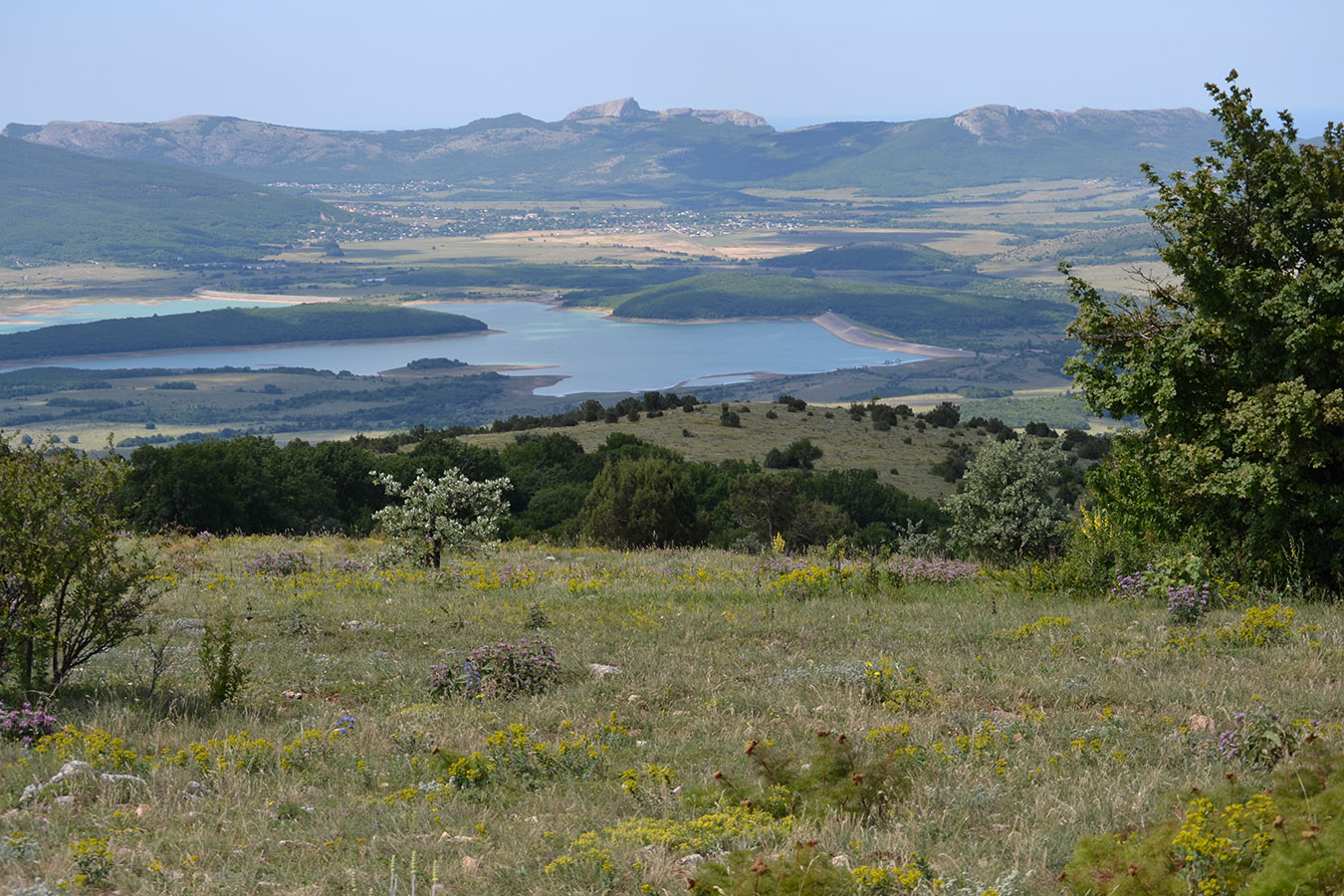 Байдарская долина, image of landscape/habitat.