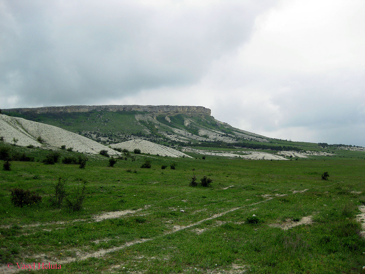 Ак-Кая, image of landscape/habitat.