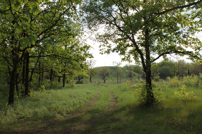 Ляхова Могила, image of landscape/habitat.