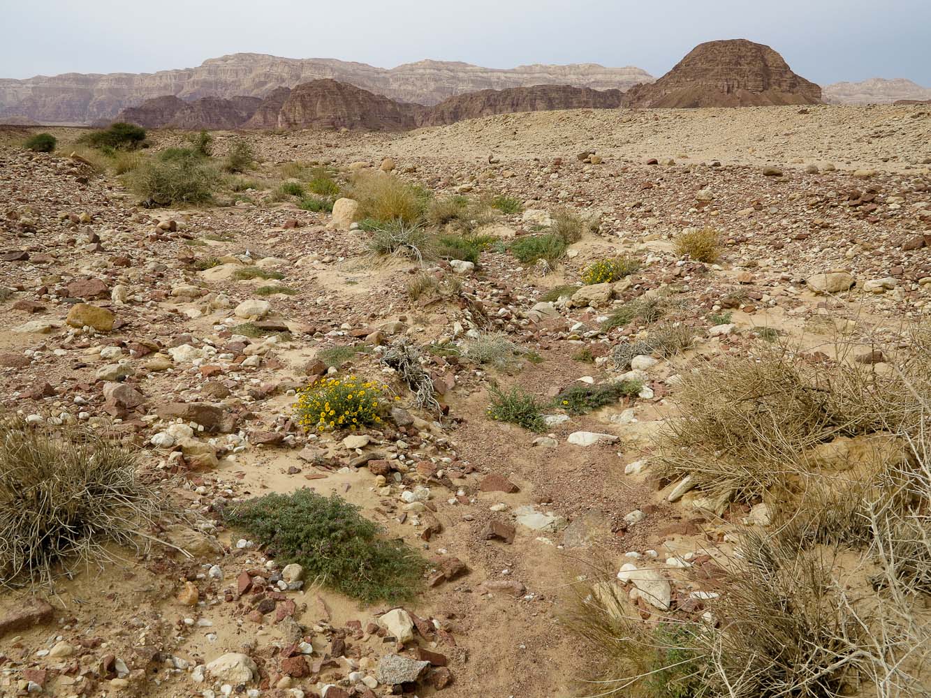 Эйлатские горы, image of landscape/habitat.