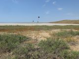 Image of landscape
