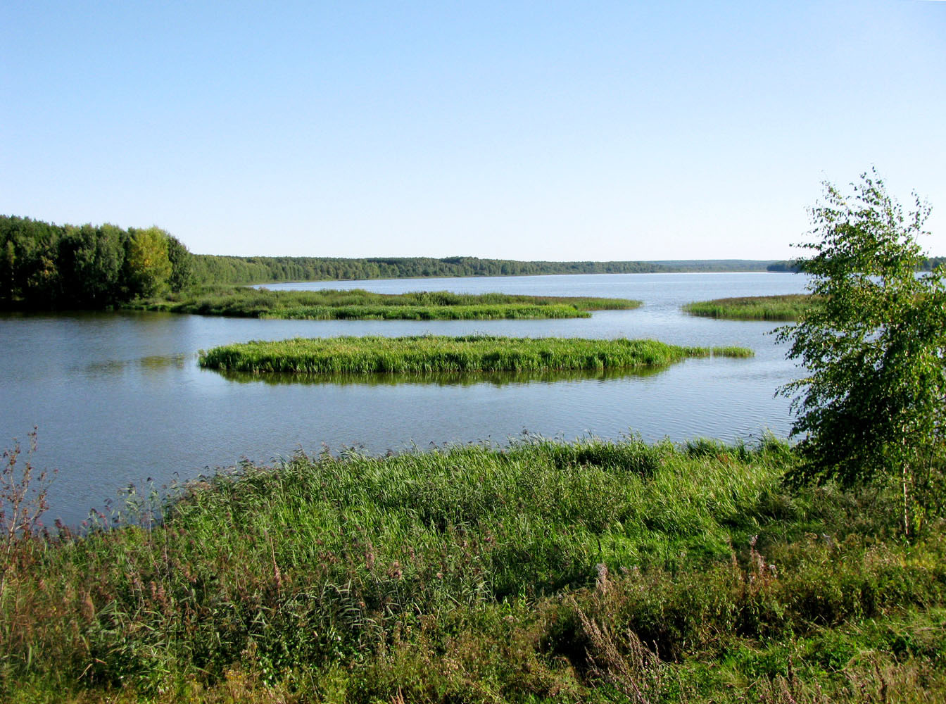 Черноречье, image of landscape/habitat.