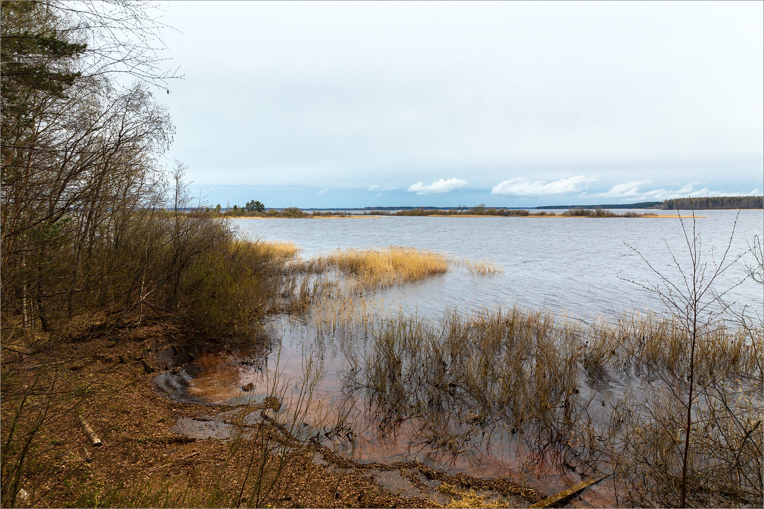 Противье, image of landscape/habitat.