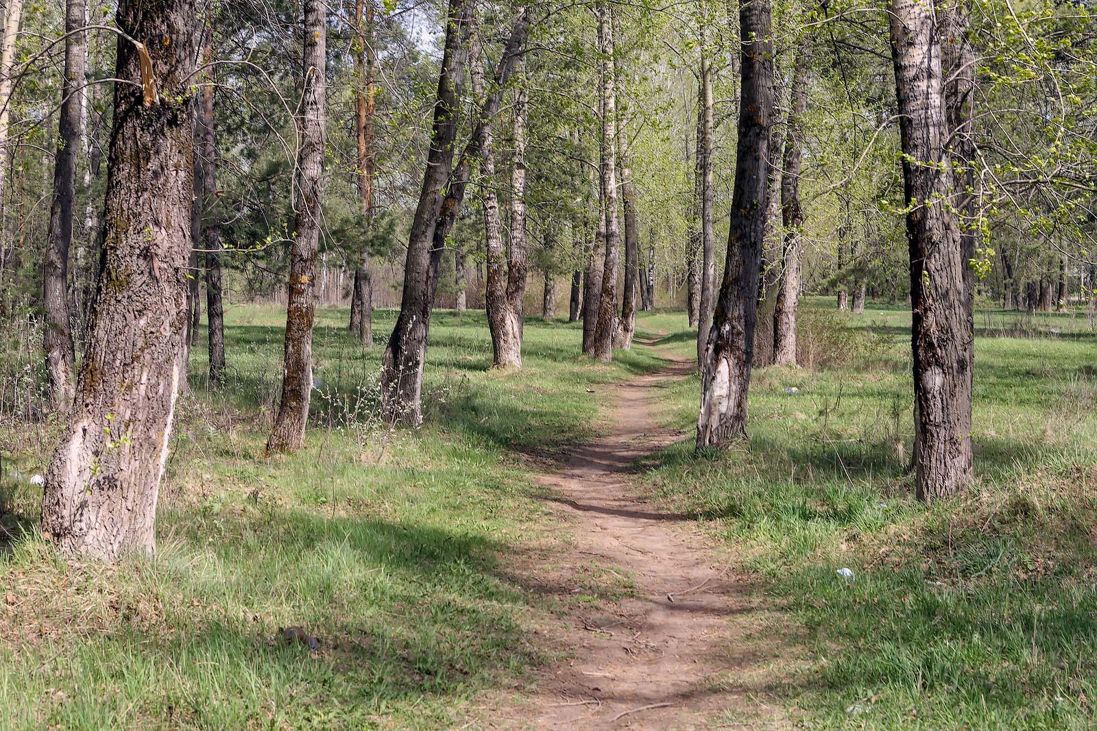 Закамск, image of landscape/habitat.