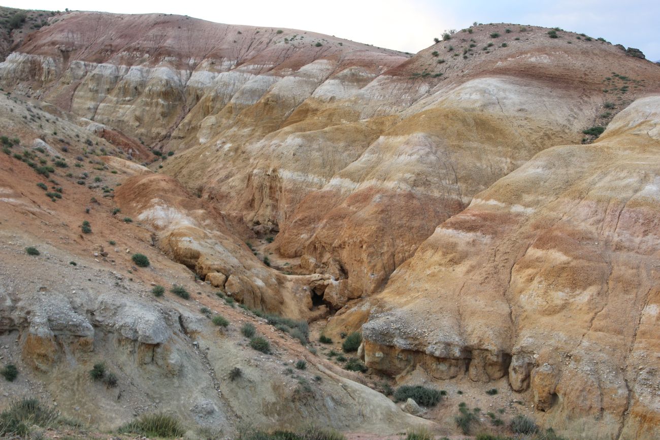 Урочище Марс, image of landscape/habitat.