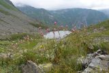 Image of landscape