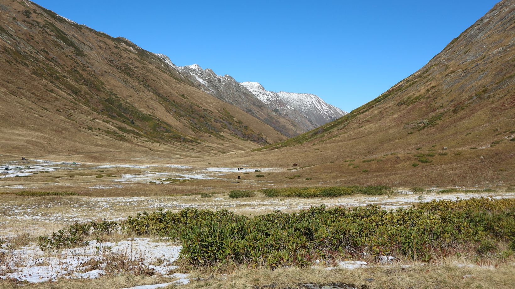 Перевал Псеашхо, image of landscape/habitat.
