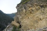 Image of landscape