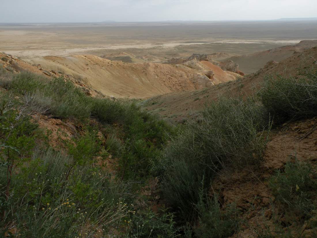 Чинк Донызтау, image of landscape/habitat.
