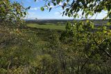 Image of landscape