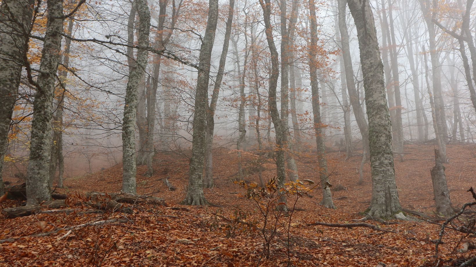 Перья Хапхала, image of landscape/habitat.
