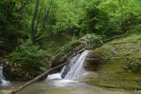 Image of landscape