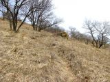 Image of landscape