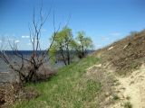 Image of landscape