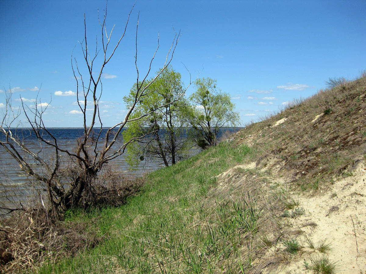 Трахтемиров, изображение ландшафта.