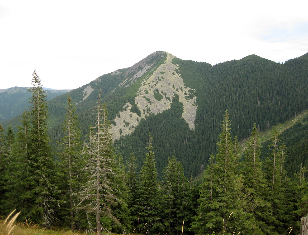 Заповедник "Горганы", Кливки, image of landscape/habitat.