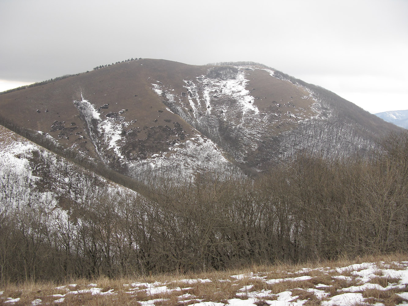 Квашин Бугор, image of landscape/habitat.