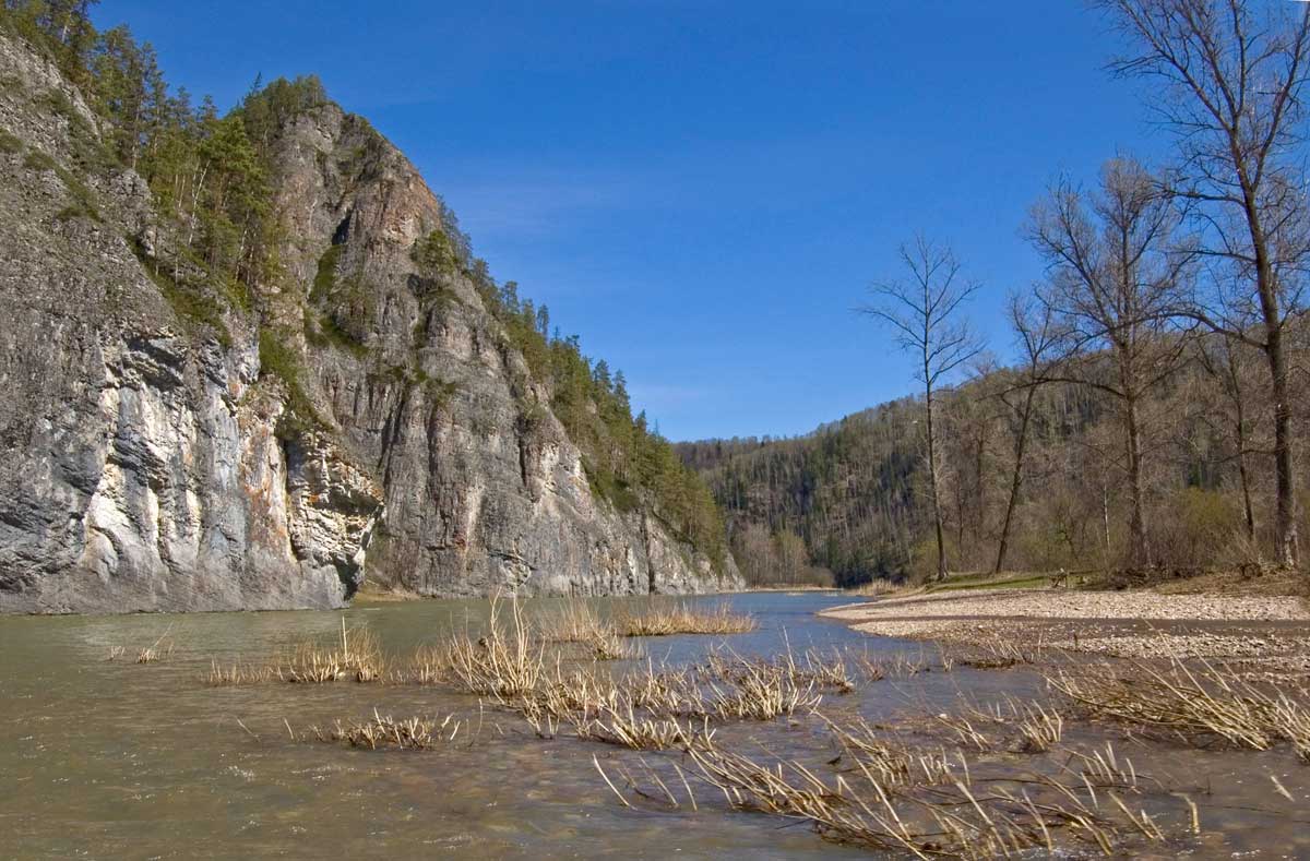 Окрестности горы Мамбет, image of landscape/habitat.