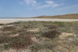 Image of landscape