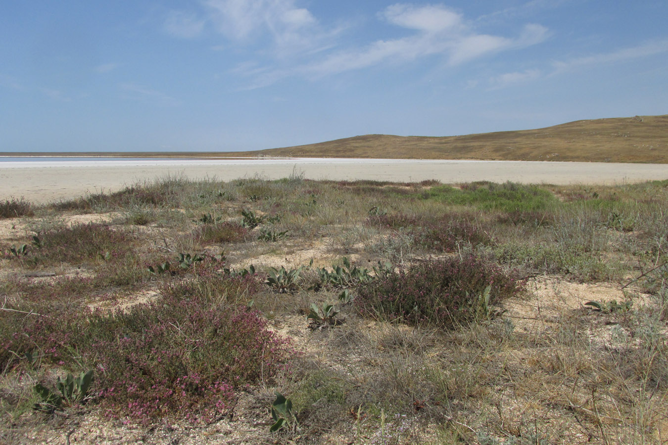 Озеро Кояшское, image of landscape/habitat.