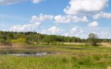 Image of landscape