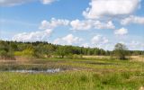 Ловать, image of landscape/habitat.