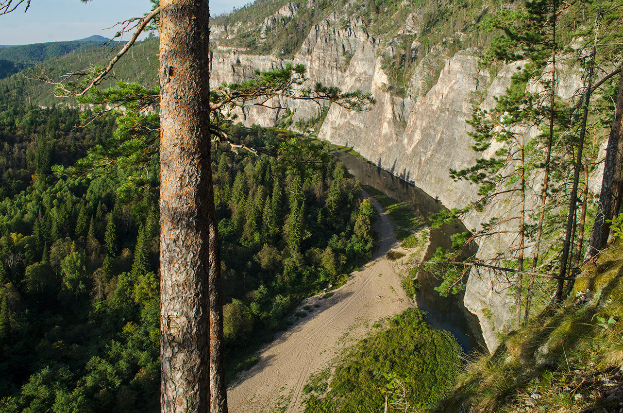Окрестности горы Мамбет, image of landscape/habitat.
