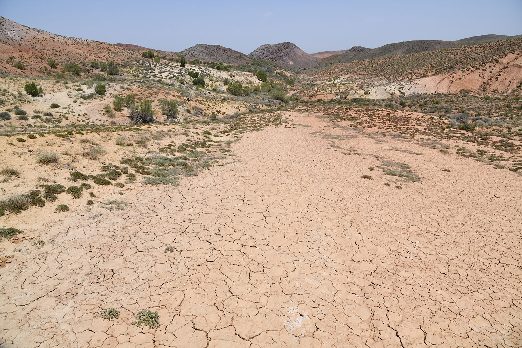 Бала-Богуты, image of landscape/habitat.