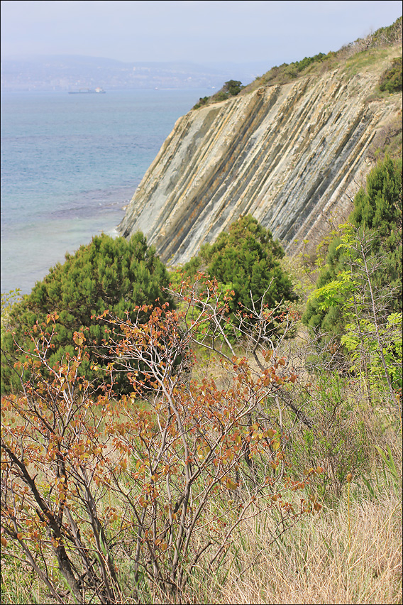 Берег моря севернее Кабардинки, image of landscape/habitat.