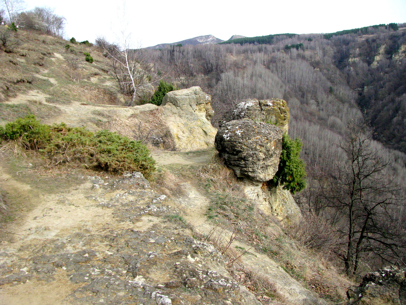 Курортный парк, image of landscape/habitat.