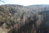 Image of landscape