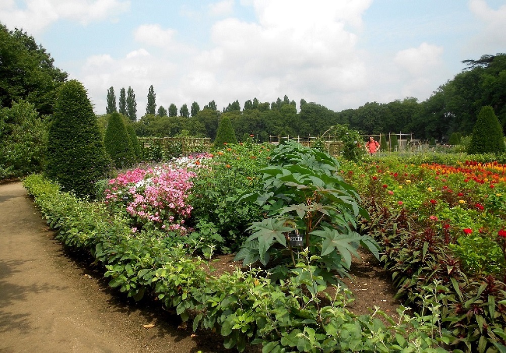 Замок Шенонсо, image of landscape/habitat.