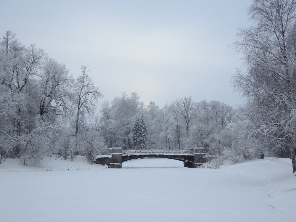 Павловск, image of landscape/habitat.