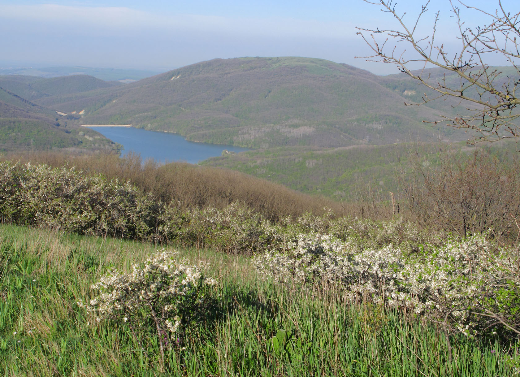 Гора Лысая-Новороссийская, image of landscape/habitat.