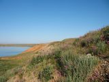 Image of landscape