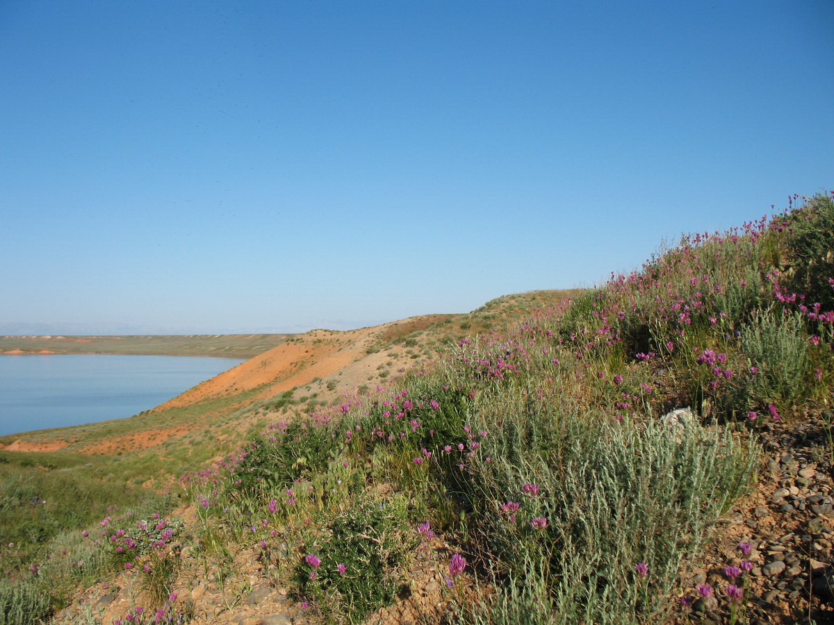Озеро Кызылколь, image of landscape/habitat.