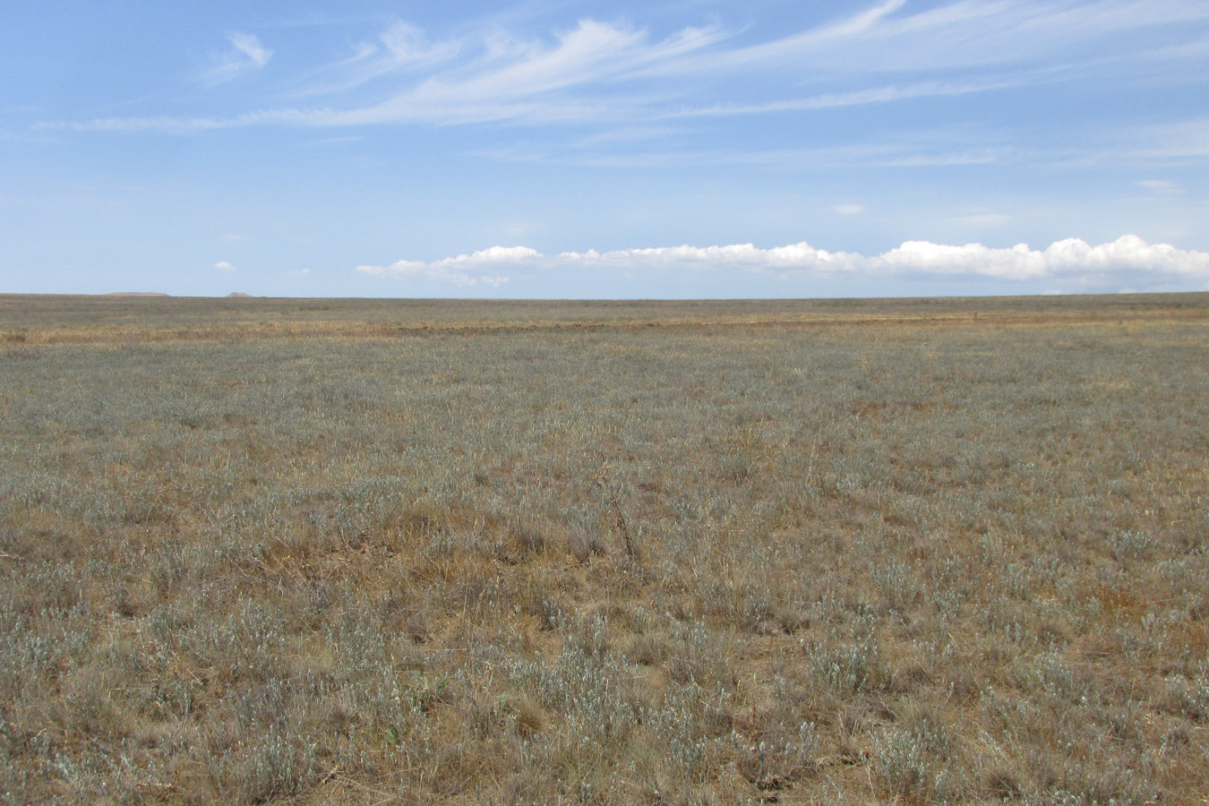 Озеро Кояшское, image of landscape/habitat.