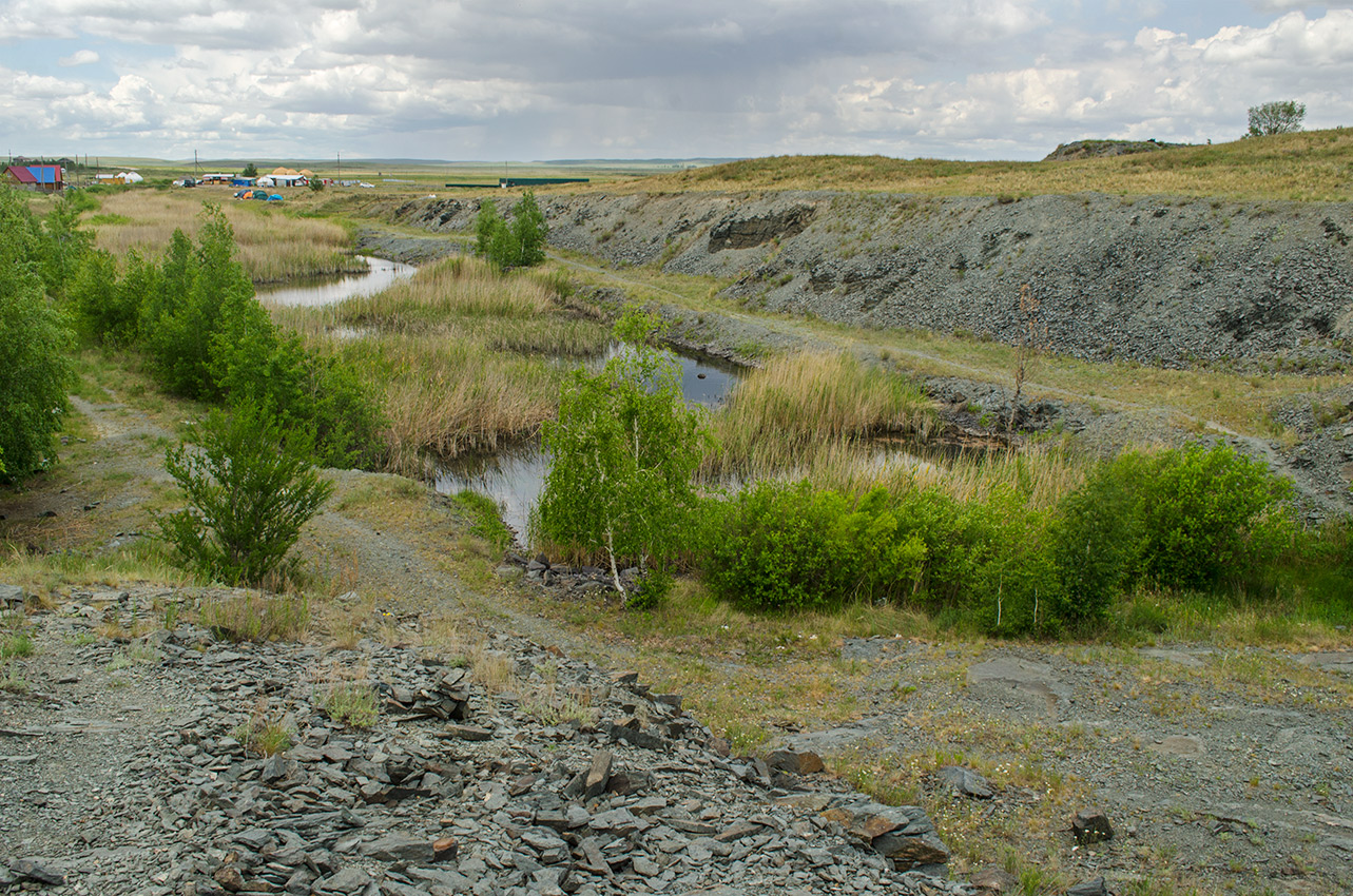 Аркаим, image of landscape/habitat.