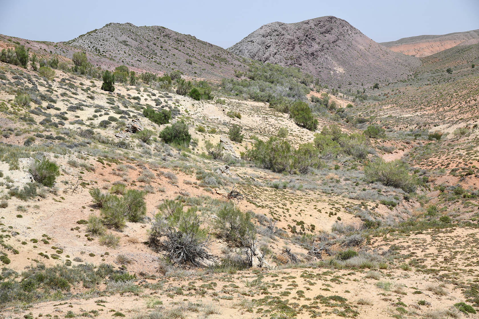 Бала-Богуты, image of landscape/habitat.