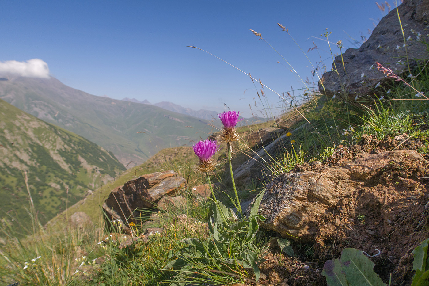 Чегетджара, image of landscape/habitat.