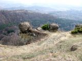 Курортный парк, изображение ландшафта.