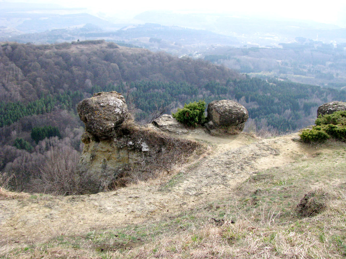 Курортный парк, image of landscape/habitat.