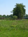 Image of landscape