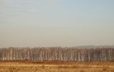 Позднякова, image of landscape/habitat.