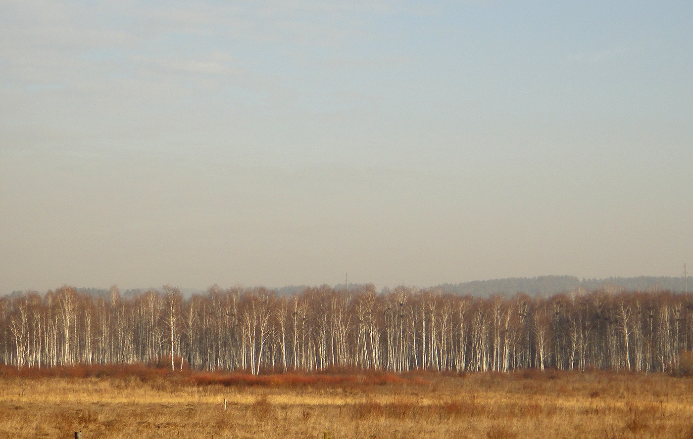 Позднякова, image of landscape/habitat.