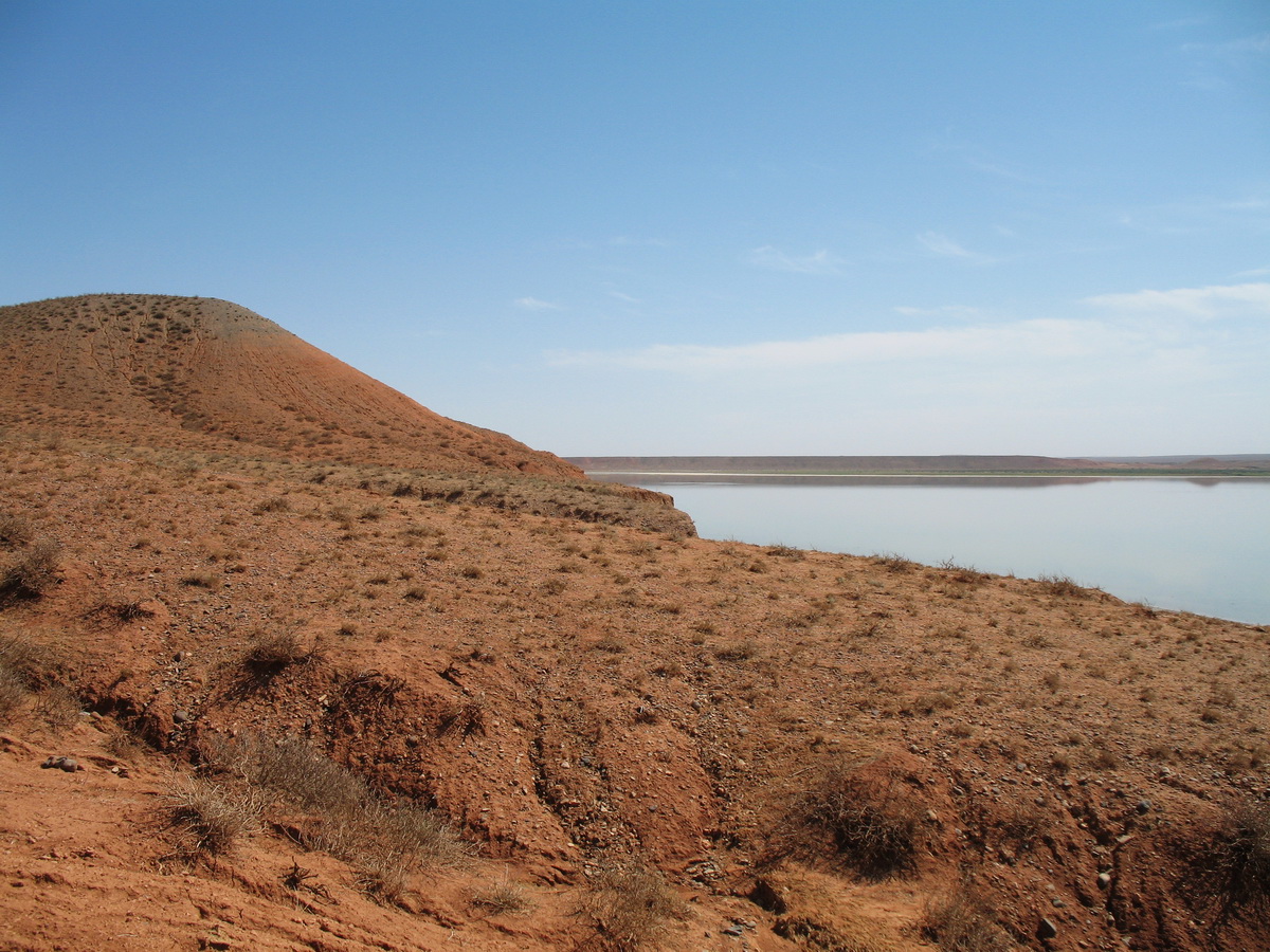 Озеро Кызылколь, image of landscape/habitat.