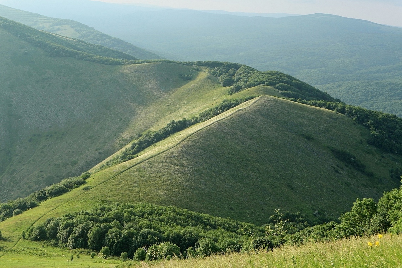 Вершина 462, изображение ландшафта.