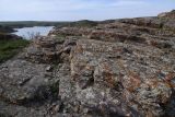 Курты, изображение ландшафта.