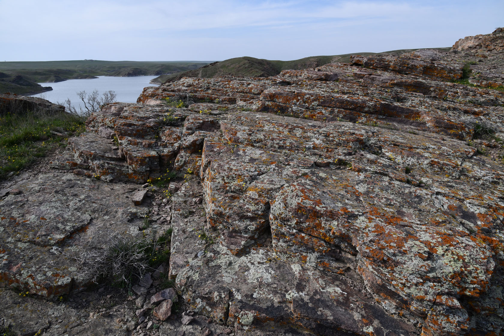 Курты, image of landscape/habitat.